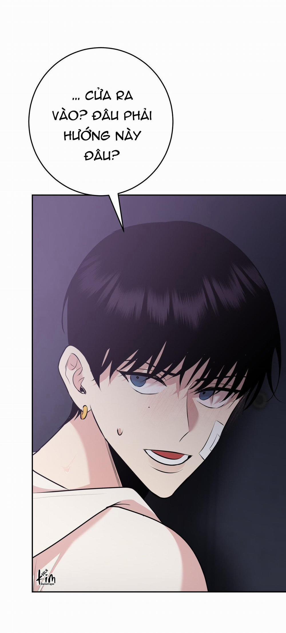 Điều 260 Bộ Luật Hình Sự 8 trang 14