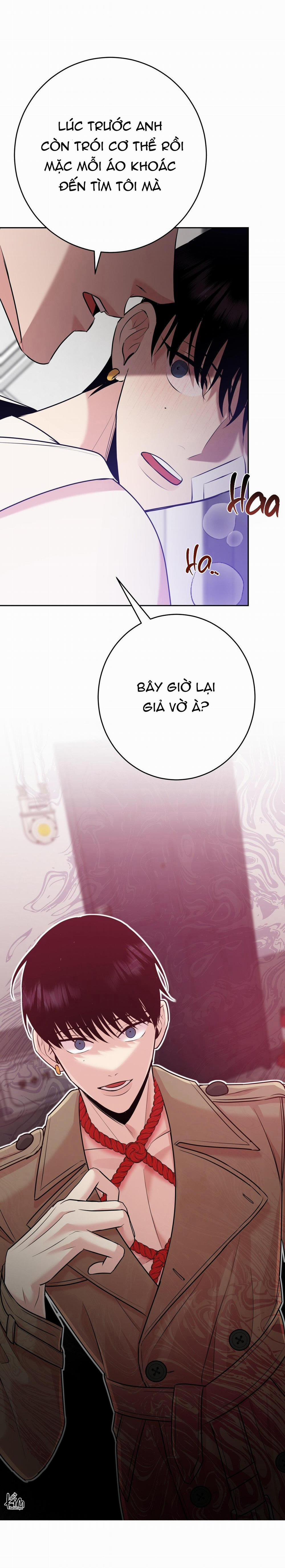 Điều 260 Bộ Luật Hình Sự 8 trang 18