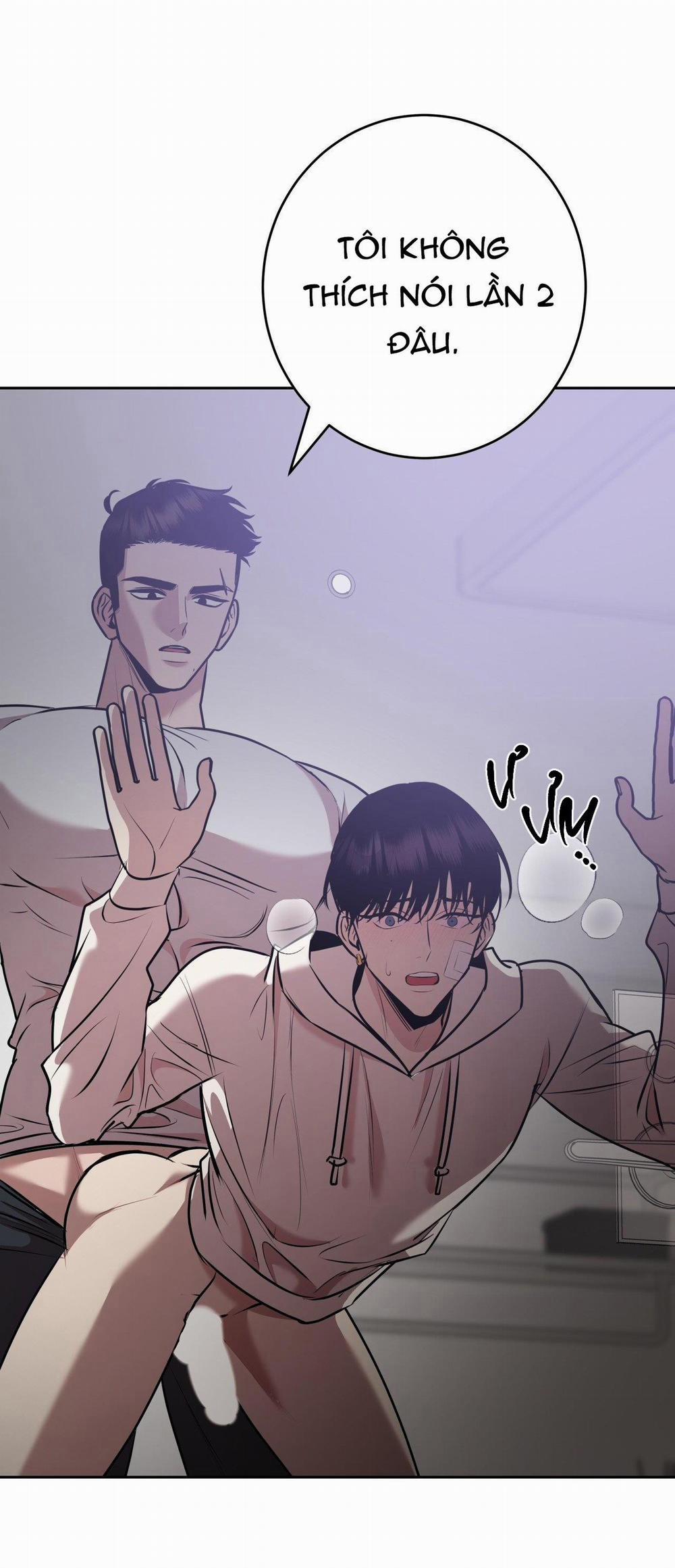 Điều 260 Bộ Luật Hình Sự 8 trang 19