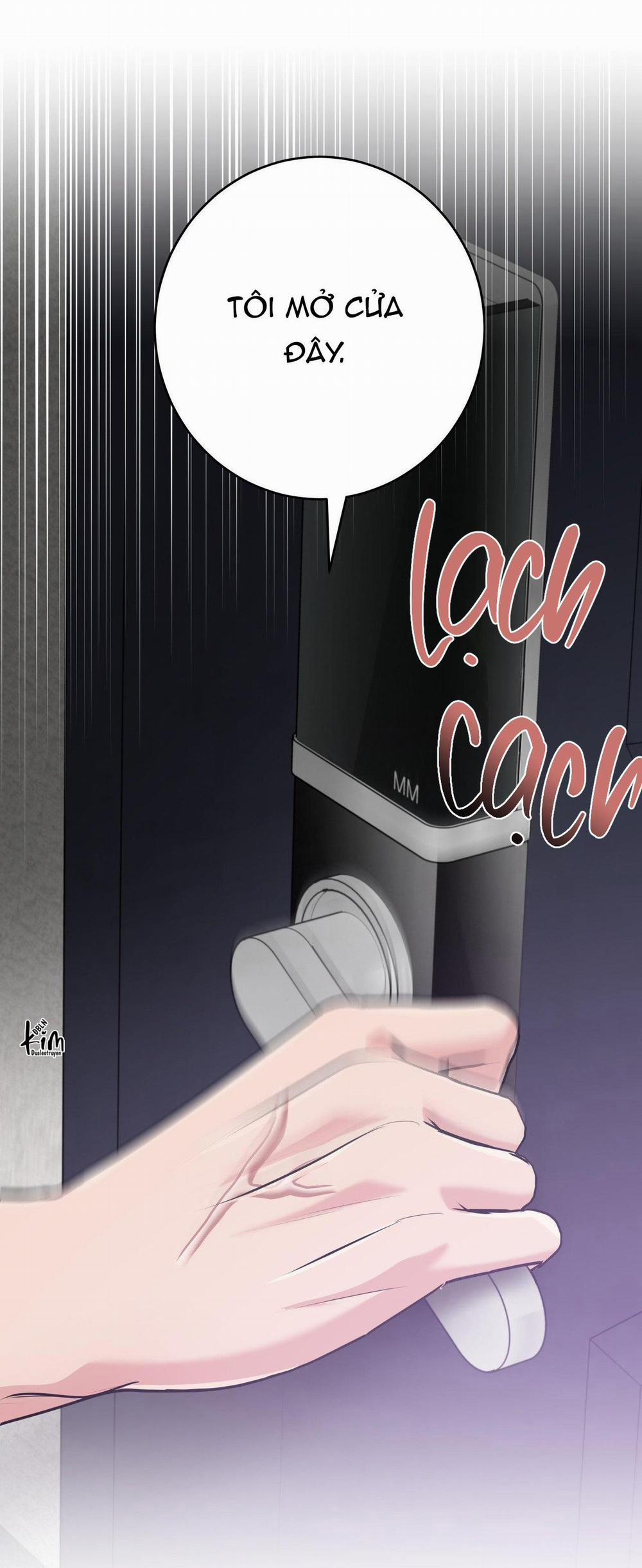 Điều 260 Bộ Luật Hình Sự 8 trang 20