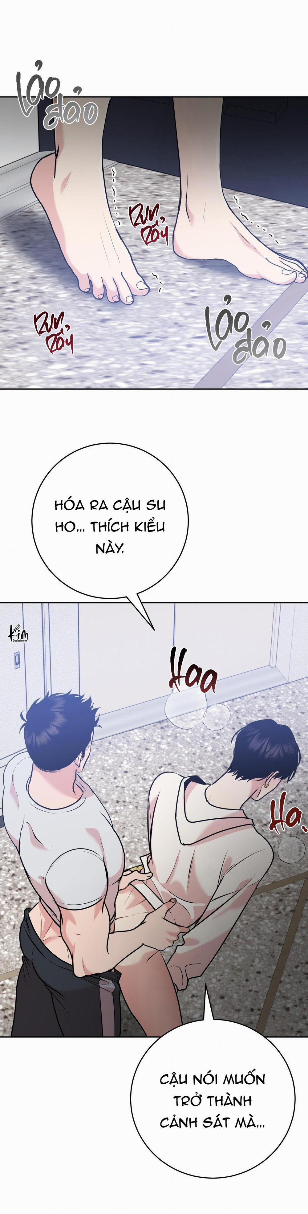 Điều 260 Bộ Luật Hình Sự 8 trang 22