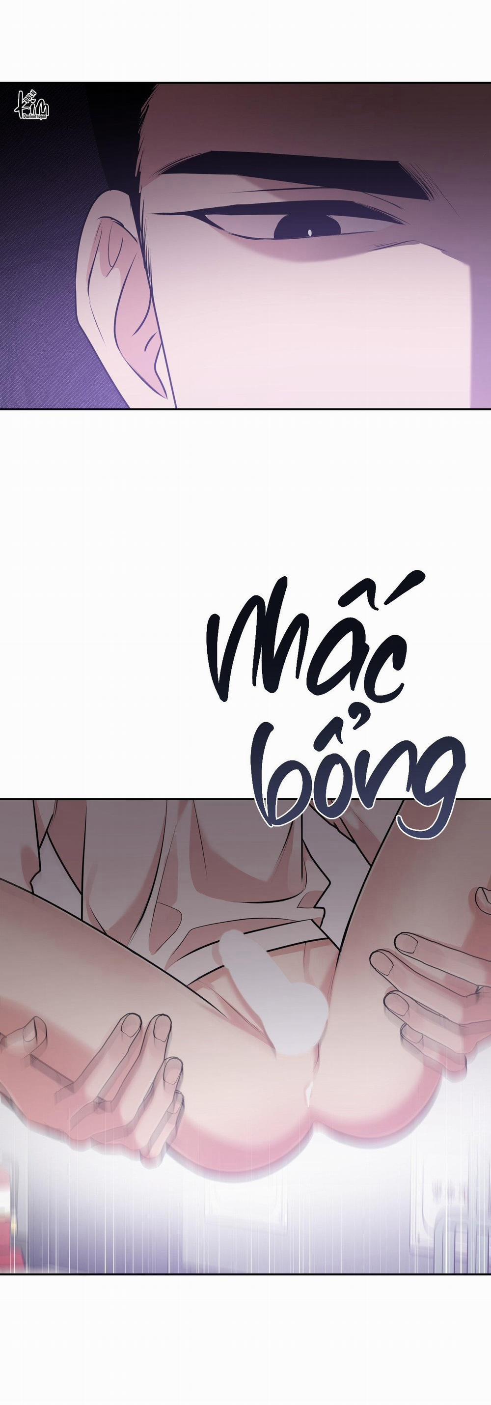 Điều 260 Bộ Luật Hình Sự 8 trang 28