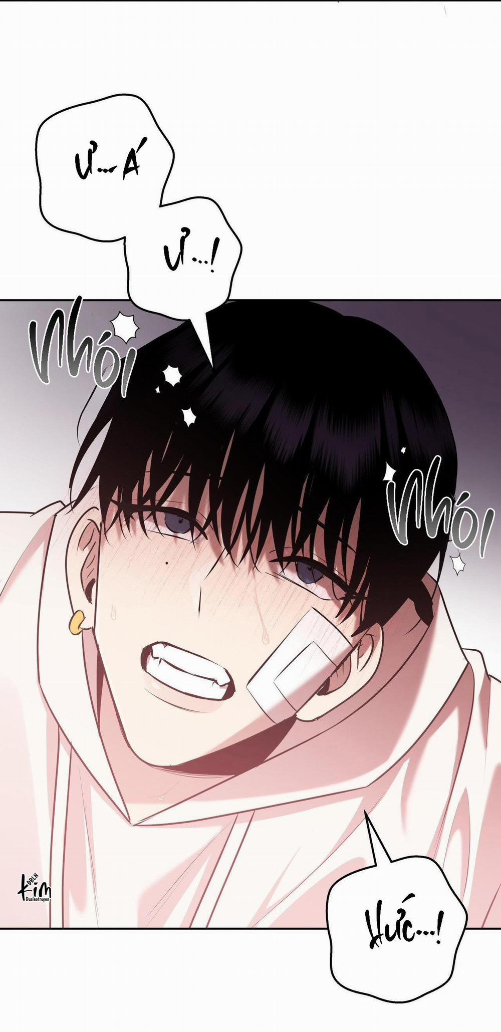 Điều 260 Bộ Luật Hình Sự 8 trang 31