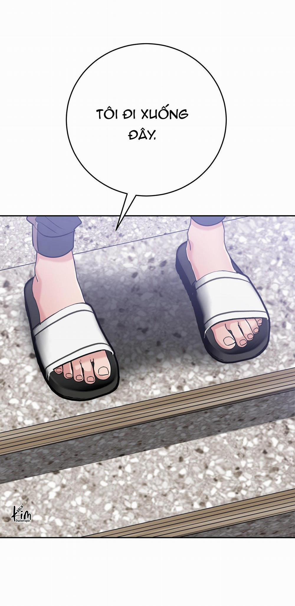 Điều 260 Bộ Luật Hình Sự 8 trang 34