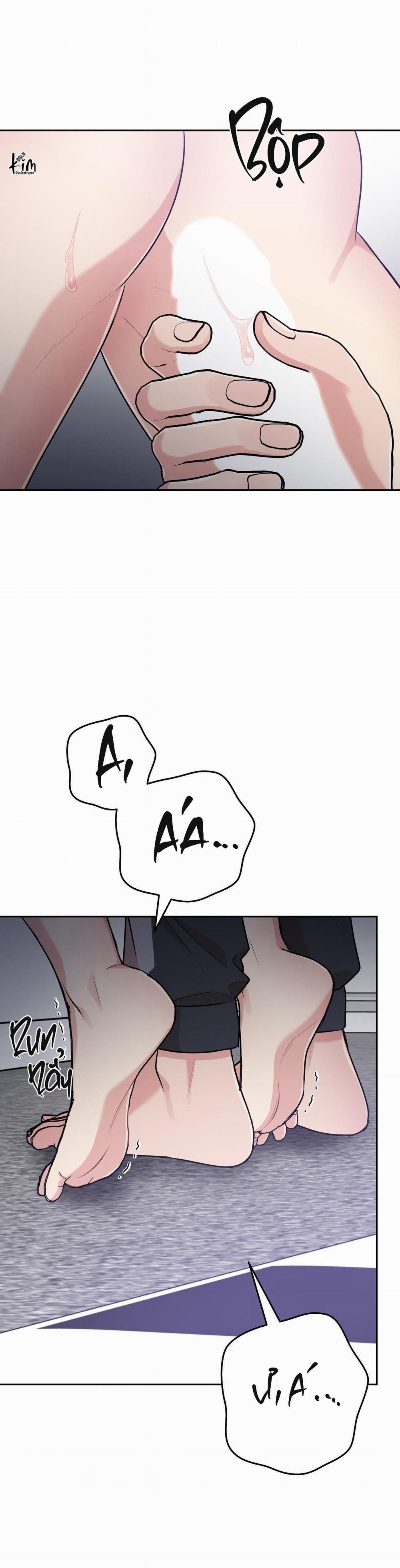 Điều 260 Bộ Luật Hình Sự 8 trang 7