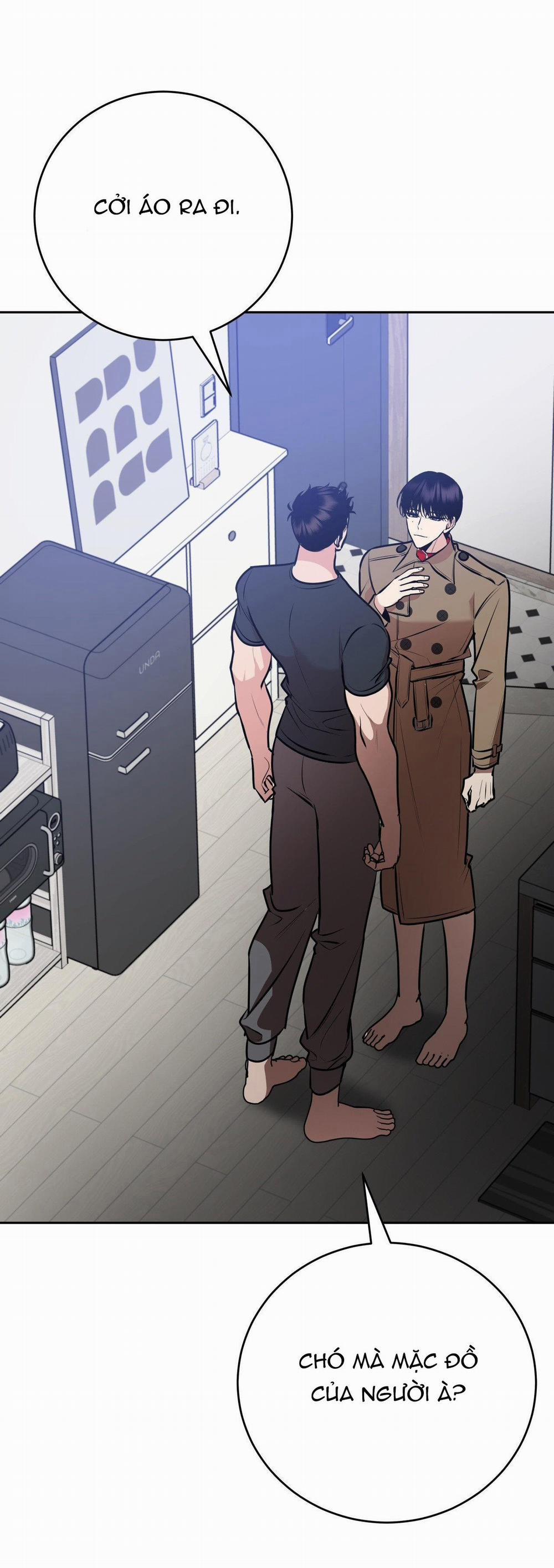 Điều 260 Bộ Luật Hình Sự 9 trang 16