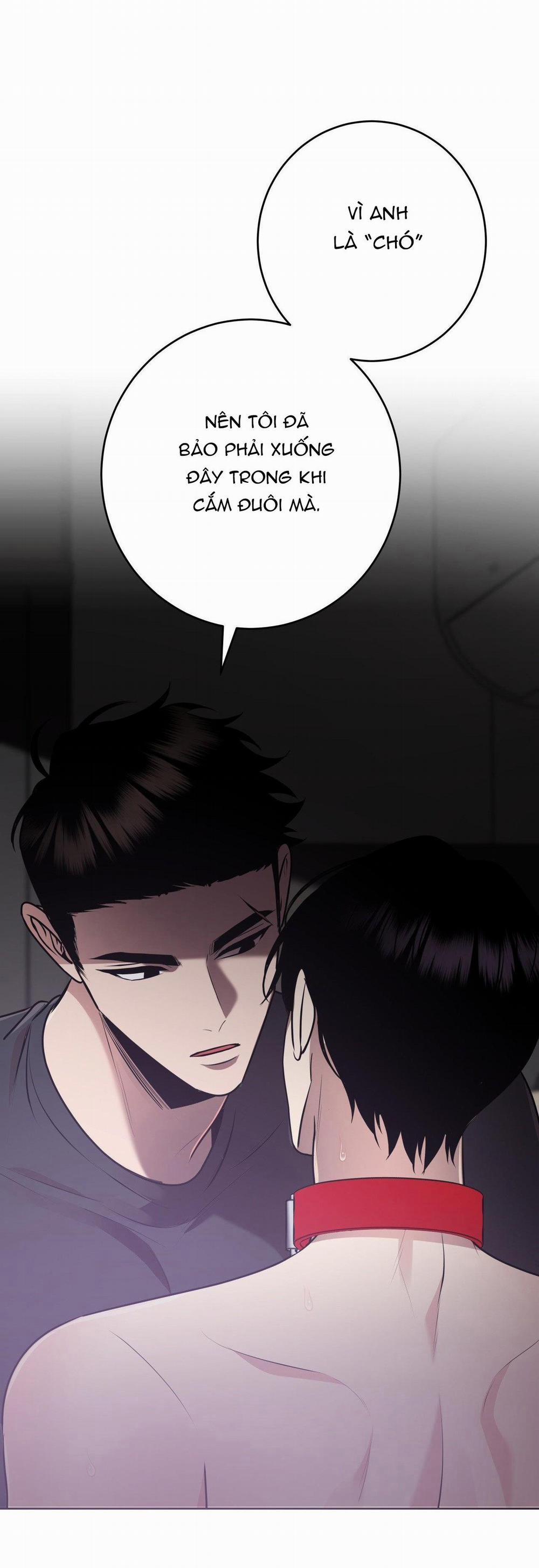 Điều 260 Bộ Luật Hình Sự 9 trang 21