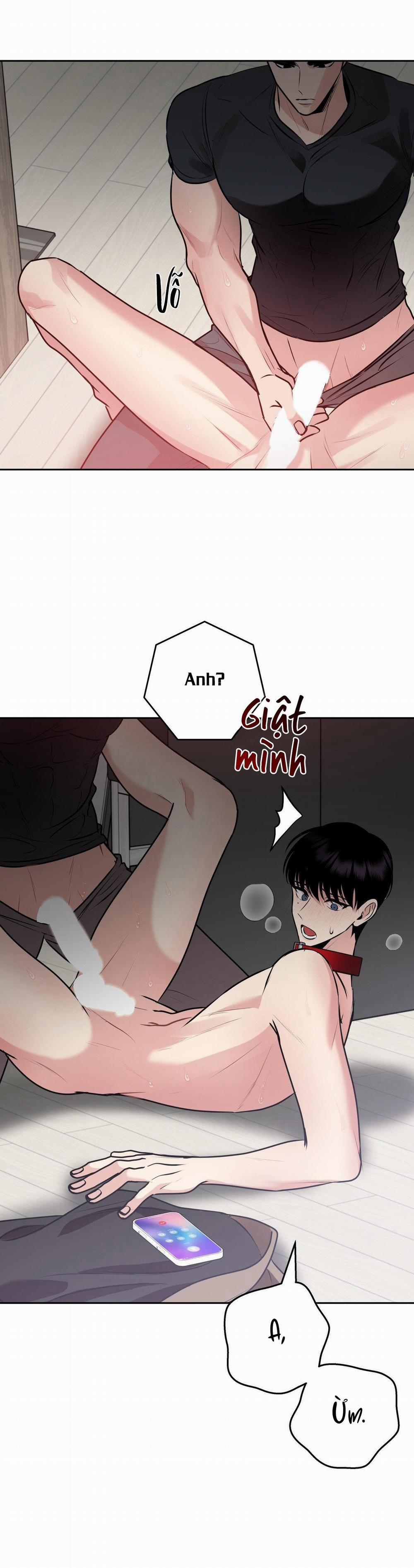 Điều 260 Bộ Luật Hình Sự 9 trang 39