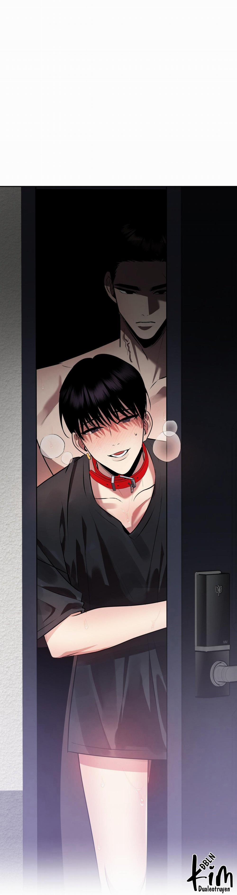 Điều 260 Bộ Luật Hình Sự 9 trang 54