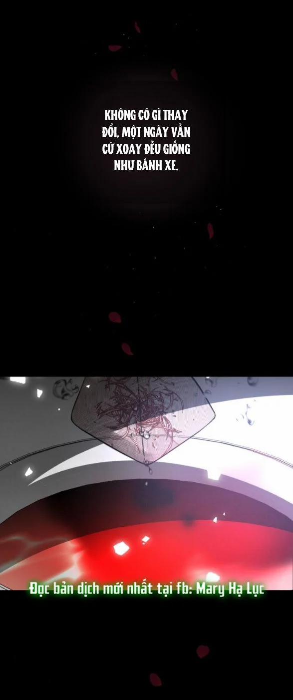 Điệu Nhảy Say Mê Giữa Màn Đêm 3 trang 3