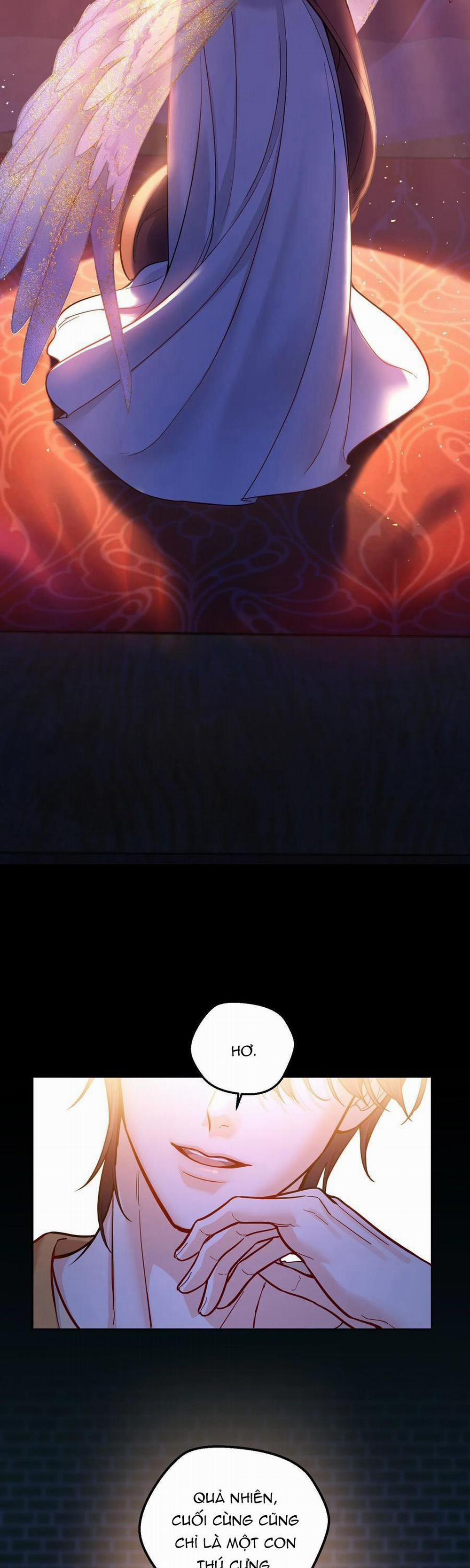 Điệu Waltz Đầu Hạ 29 trang 14