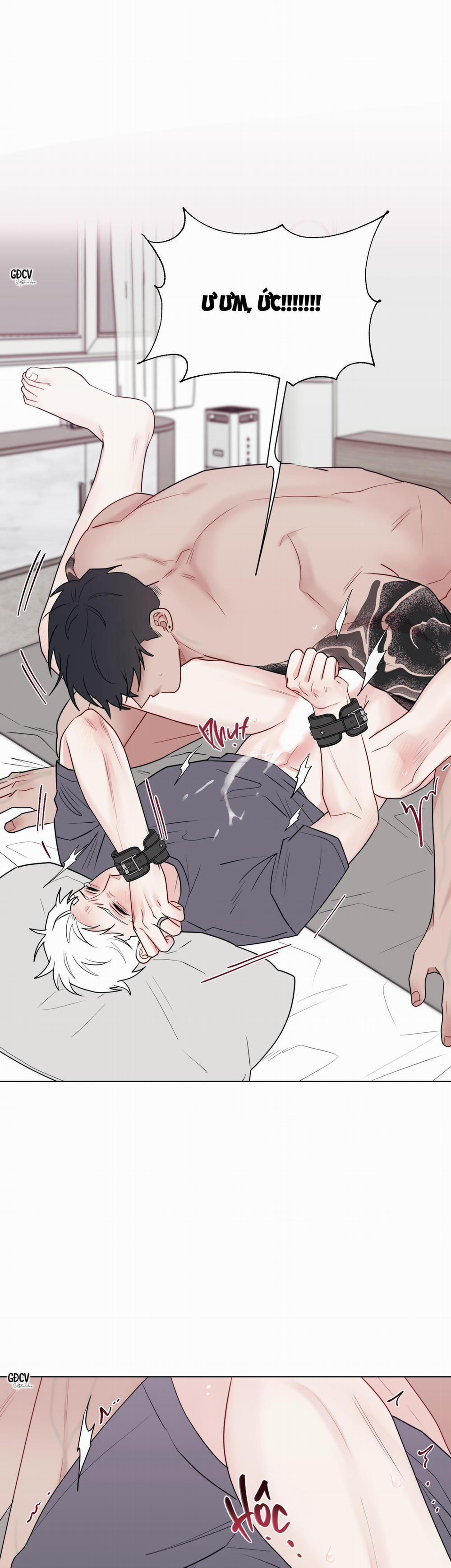 Dính Chặt Mất Rồi!!! 11 trang 2