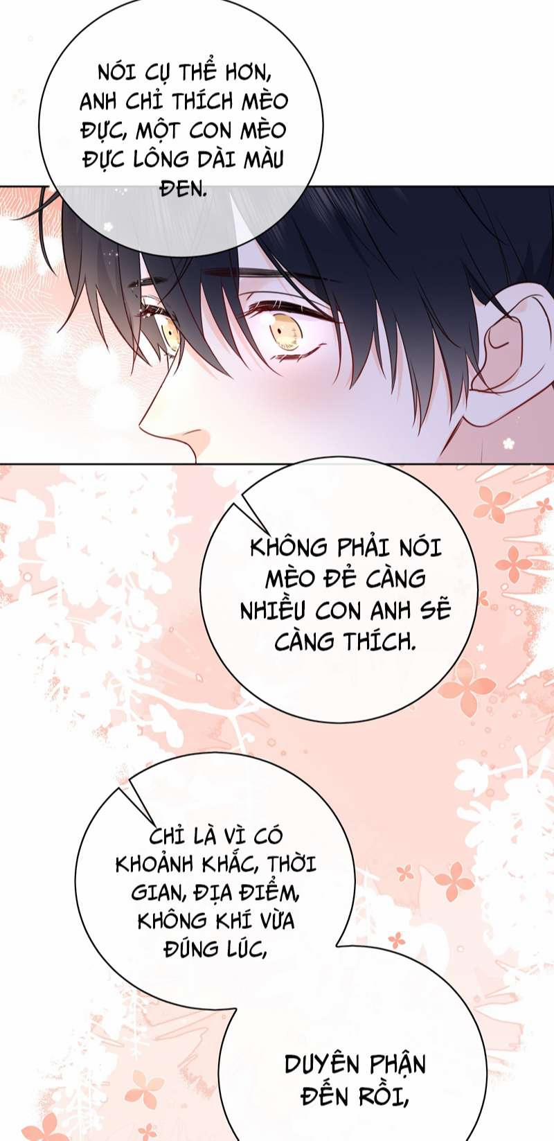 Dinh Dưỡng Quá Tốt 54 trang 5