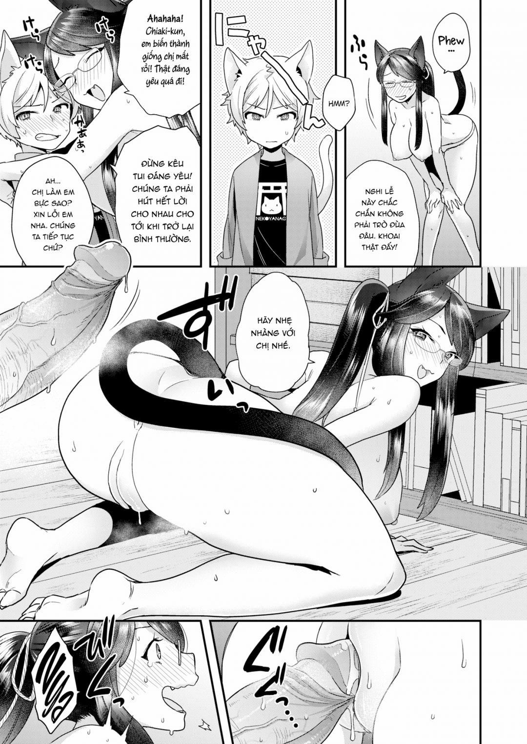 Dính lời nguyền của thần mèo Oneshot trang 13