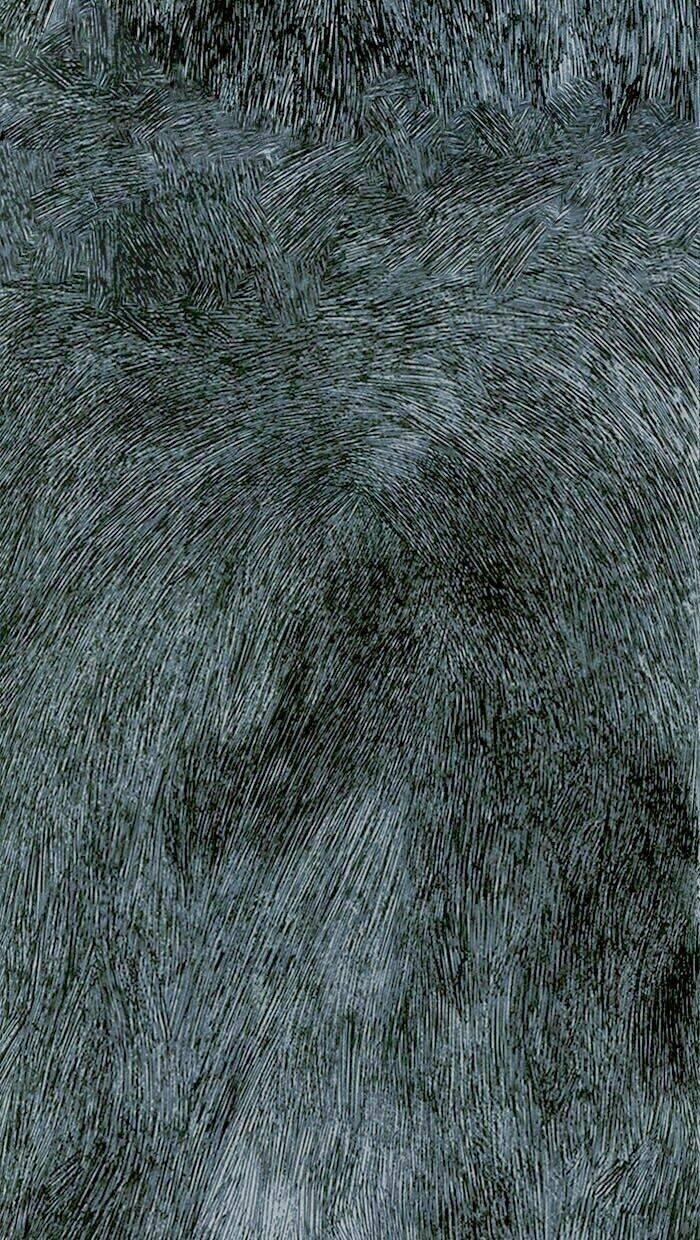 Distant Sky 0 trang 3