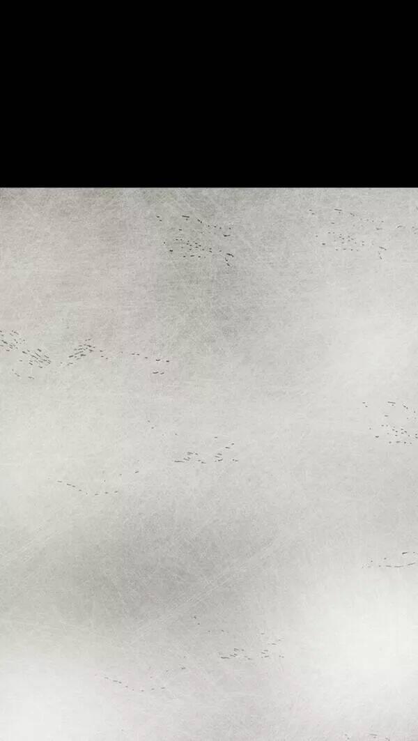 Distant Sky 33 trang 102