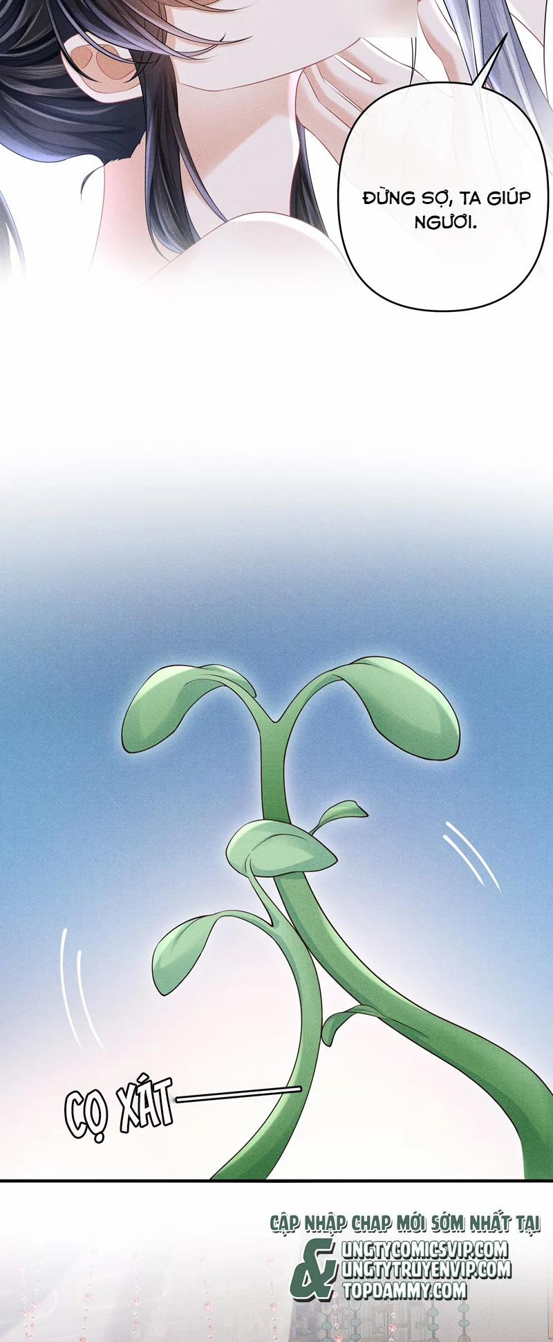 Đồ Đệ Mỗi Ngày Đều Muốn Làm Ta Chết 16 trang 8