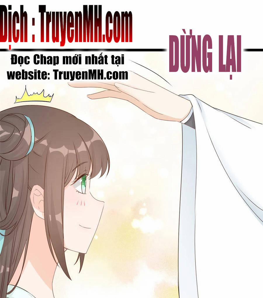 Đồ Đệ Nhà Ta Lại Quải Rồi 282 trang 1