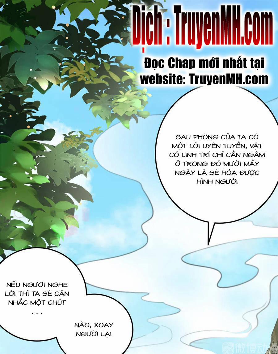 Đồ Đệ Nhà Ta Lại Quải Rồi 287 trang 1