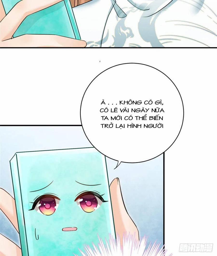 Đồ Đệ Nhà Ta Lại Quải Rồi 324 trang 5