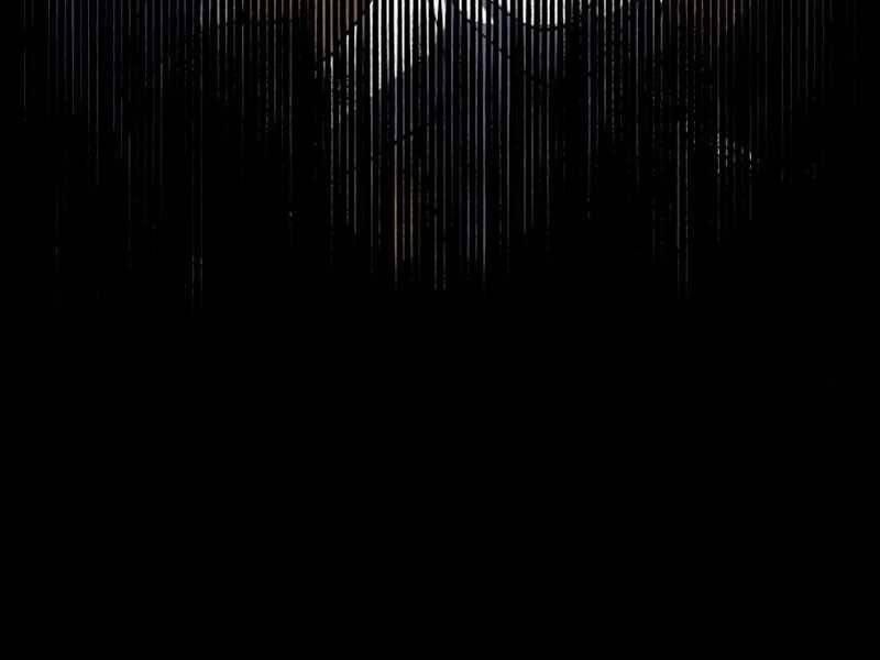 Đồ Long 1 trang 316