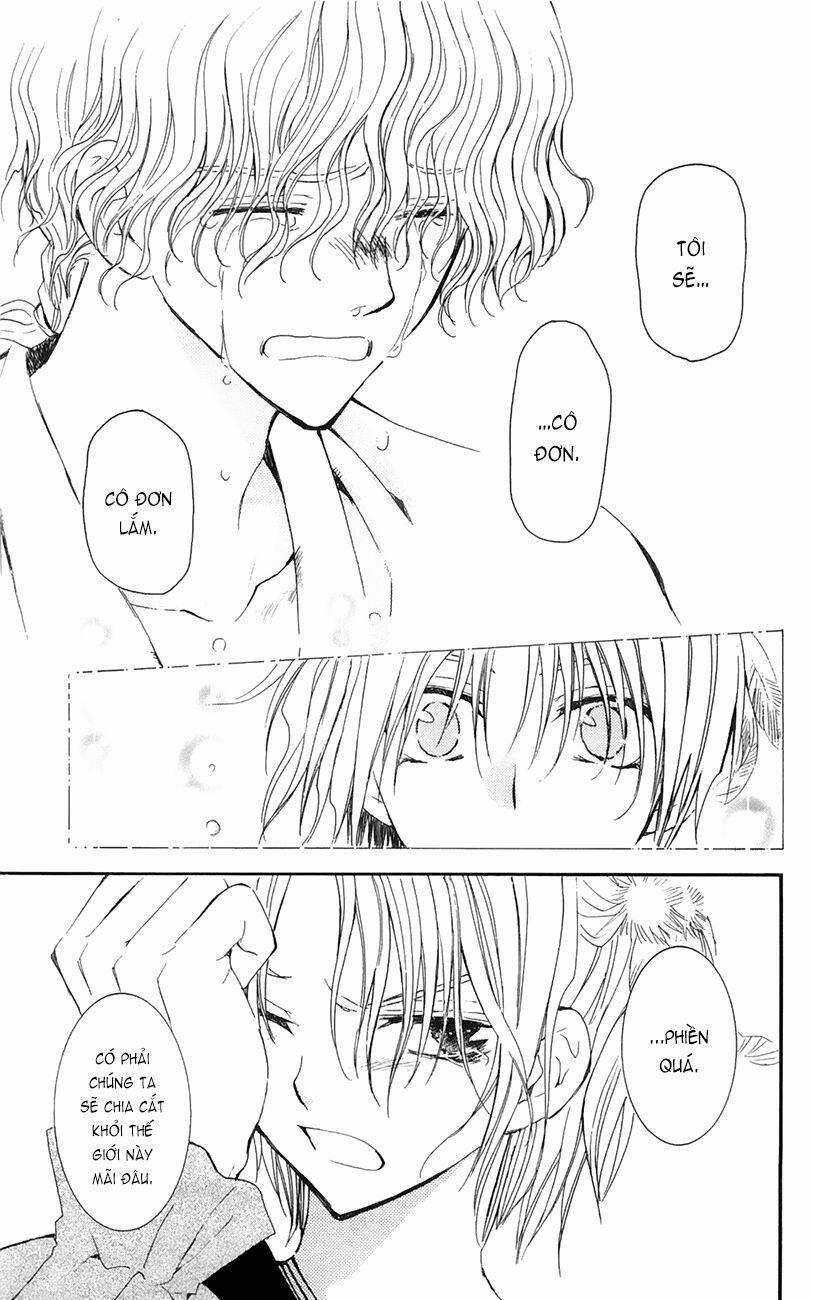 Đóa Hoa Bùng Cháy 14 trang 15