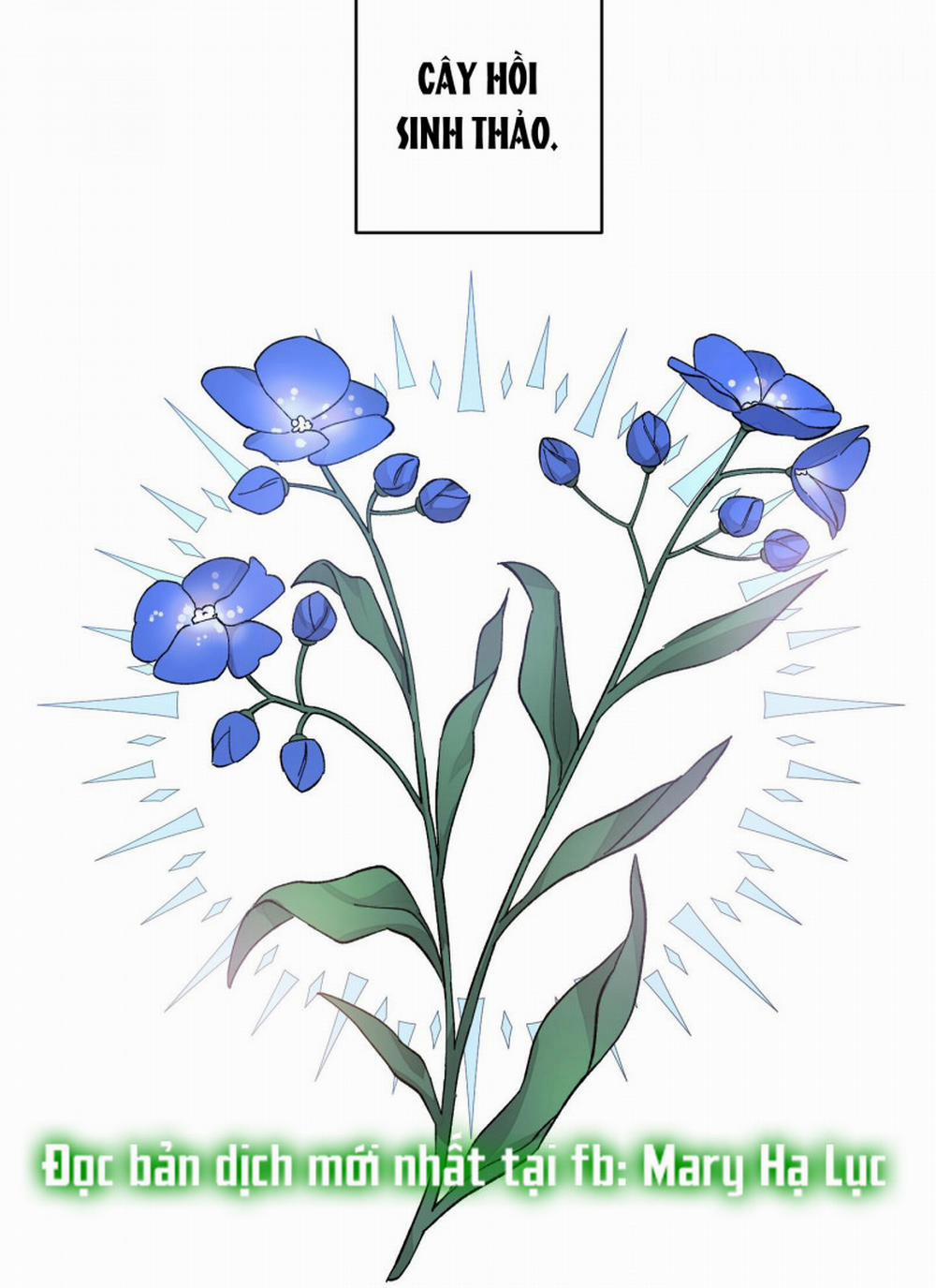 Đóa Hoa Của Mặt Trời 19 trang 36