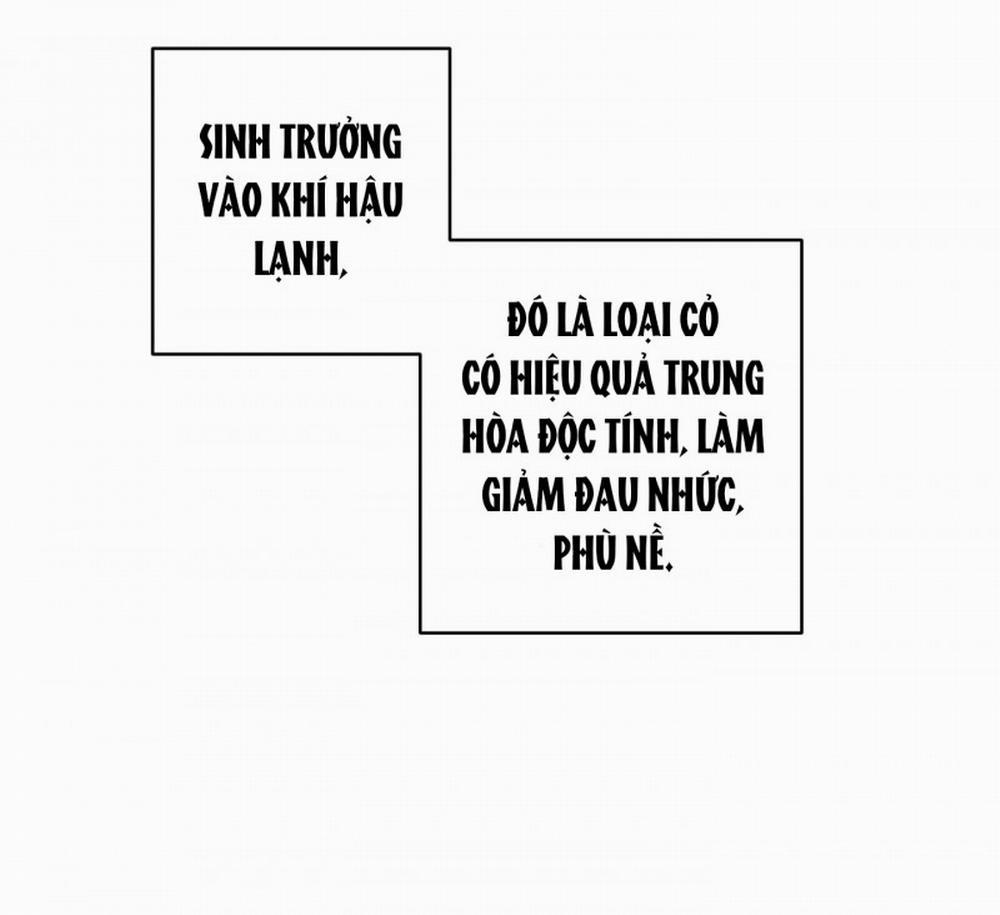 Đóa Hoa Của Mặt Trời 19 trang 37