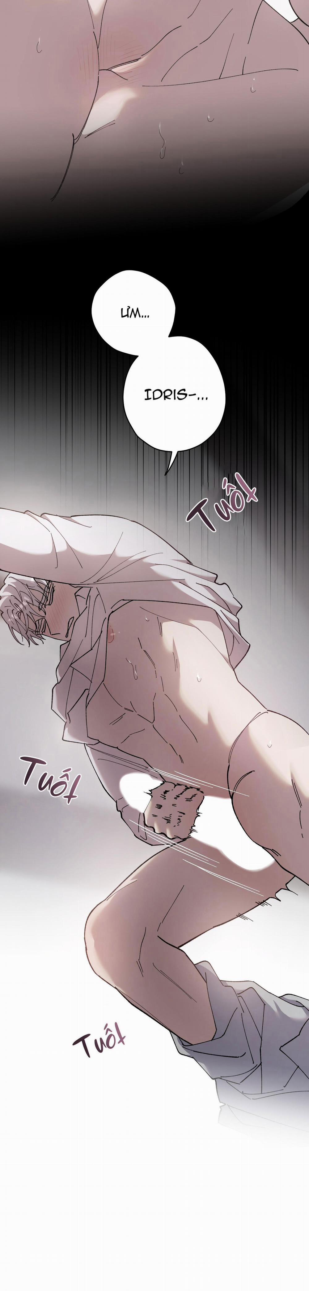 Đóa Hoa Của Mặt Trời 41 trang 25