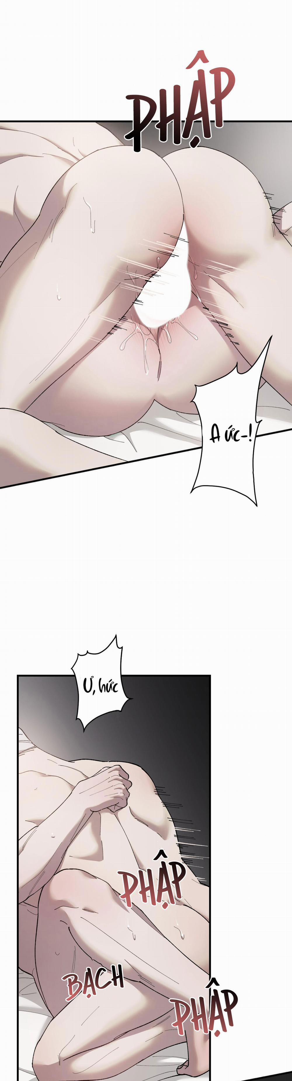 Đóa Hoa Của Mặt Trời 47 trang 11