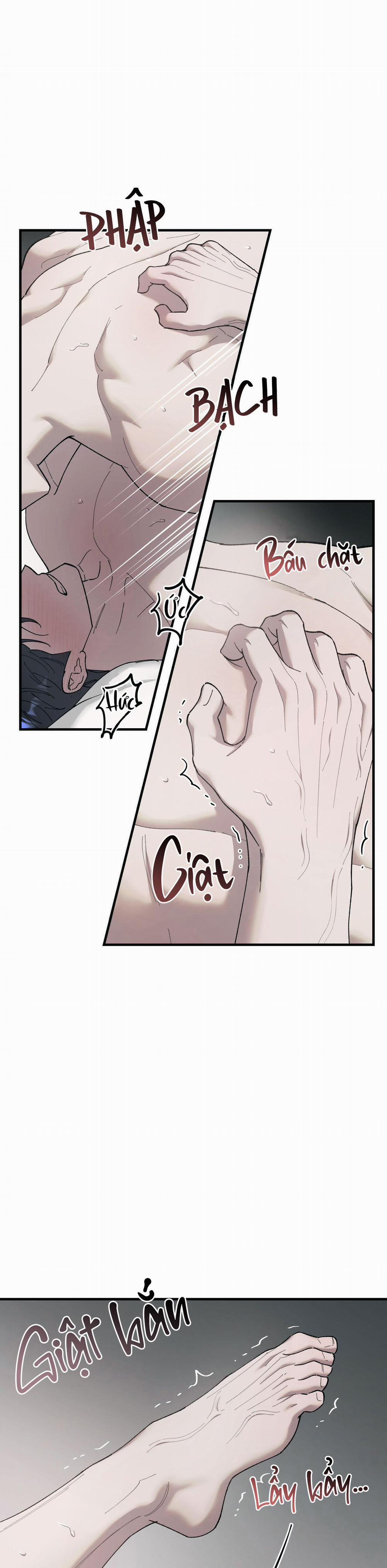 Đóa Hoa Của Mặt Trời 47 trang 15