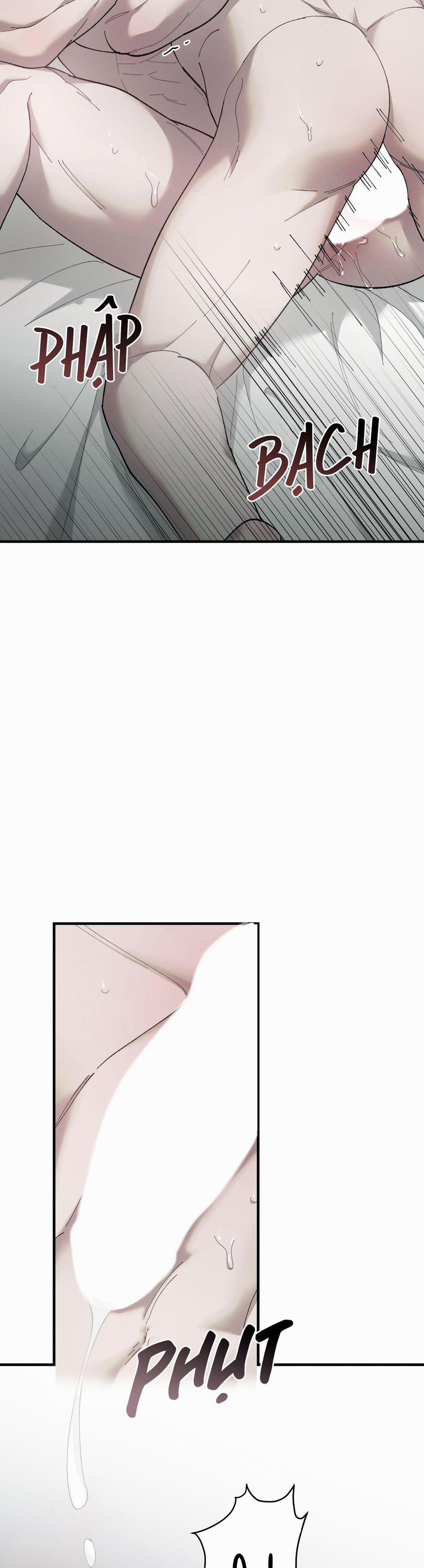 Đóa Hoa Của Mặt Trời 47 trang 17