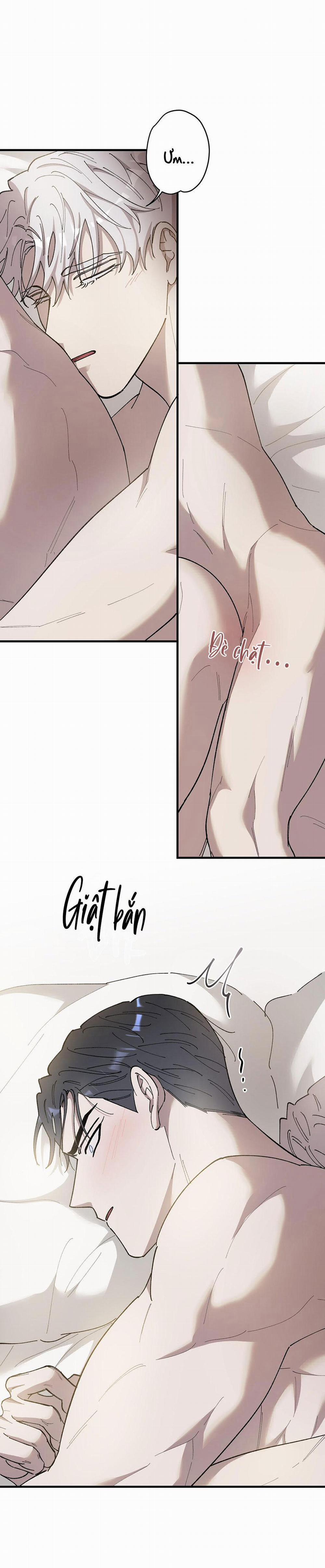 Đóa Hoa Của Mặt Trời 48 trang 12