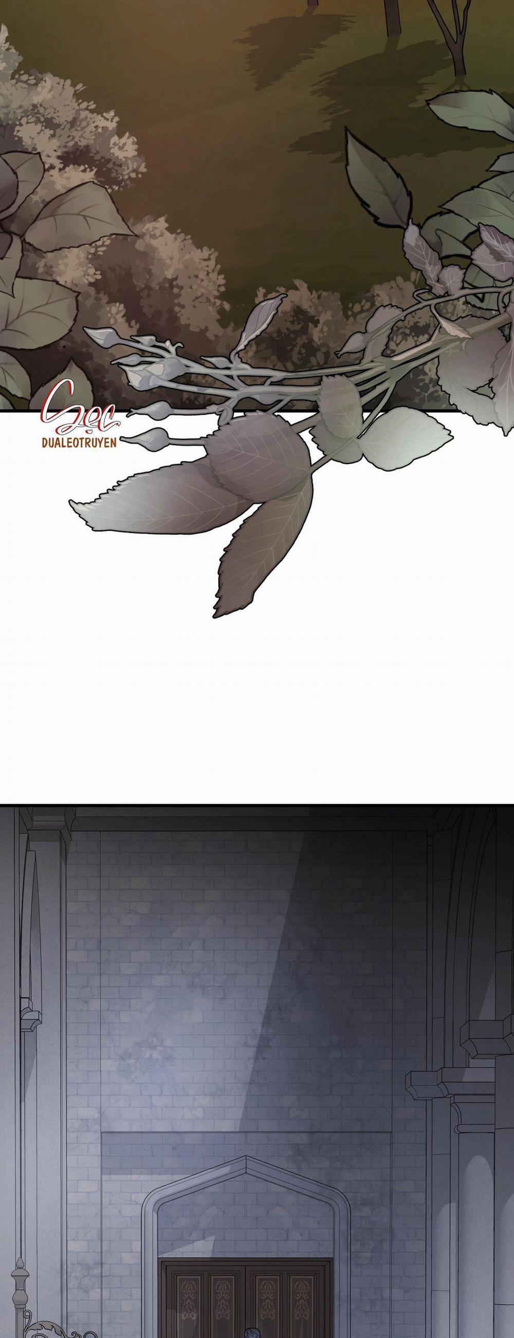 Đóa Hoa Của Mặt Trời 50 trang 42