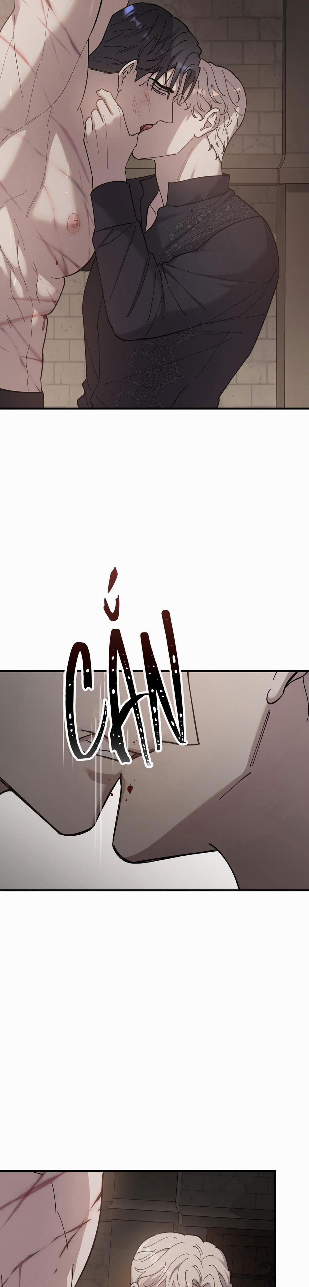 Đóa Hoa Của Mặt Trời 58 trang 14