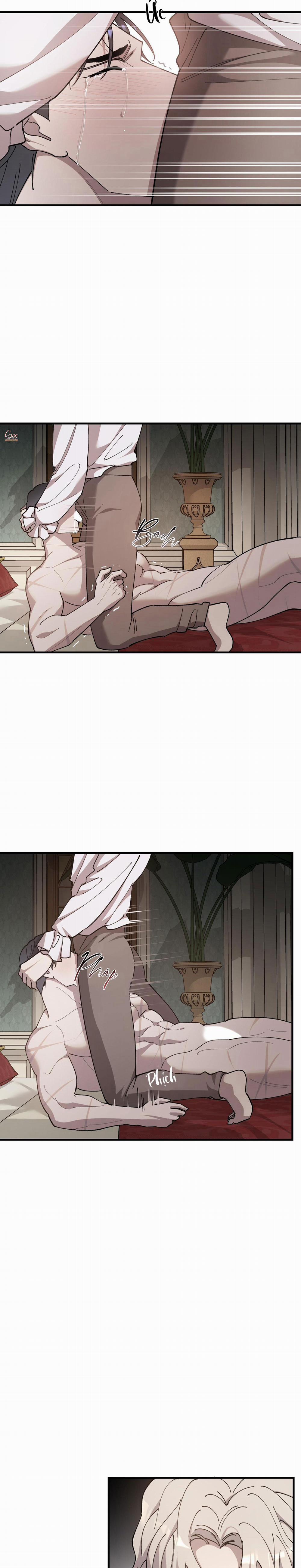 Đóa Hoa Của Mặt Trời 64 trang 11