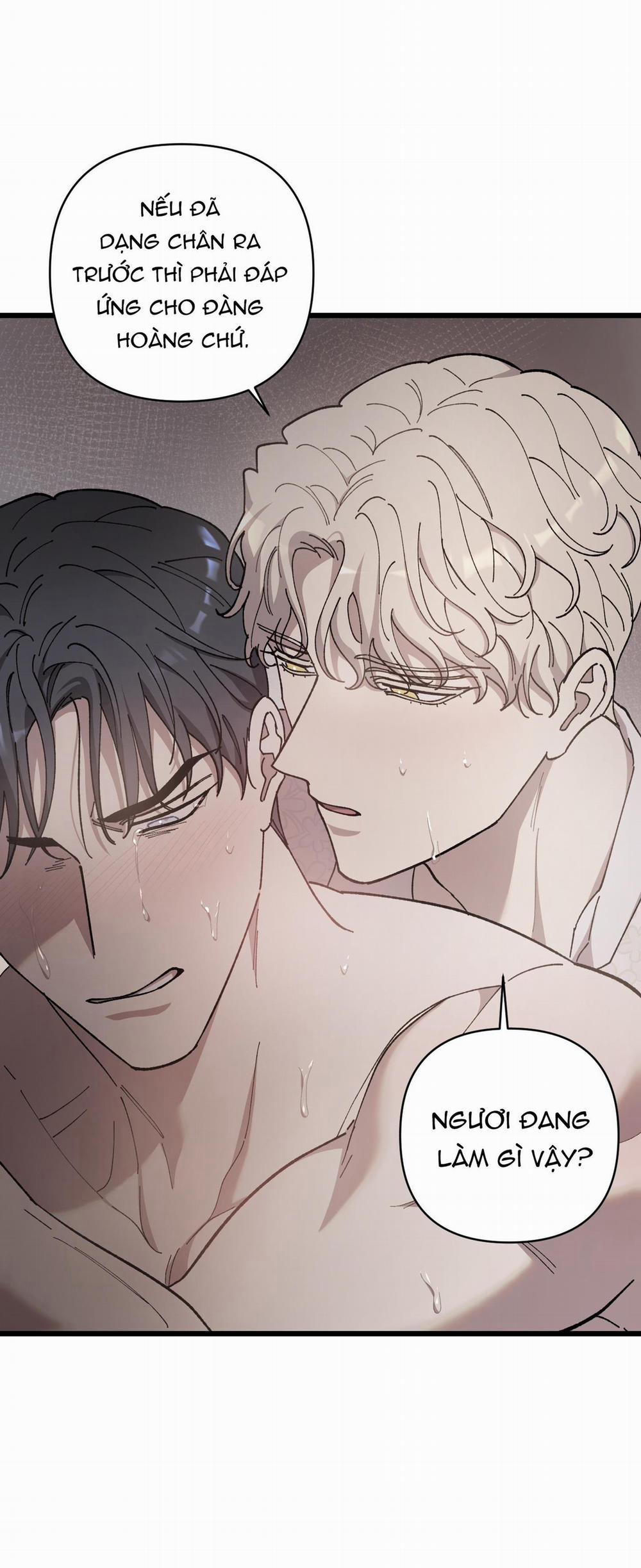 Đóa Hoa Của Mặt Trời 70 trang 13