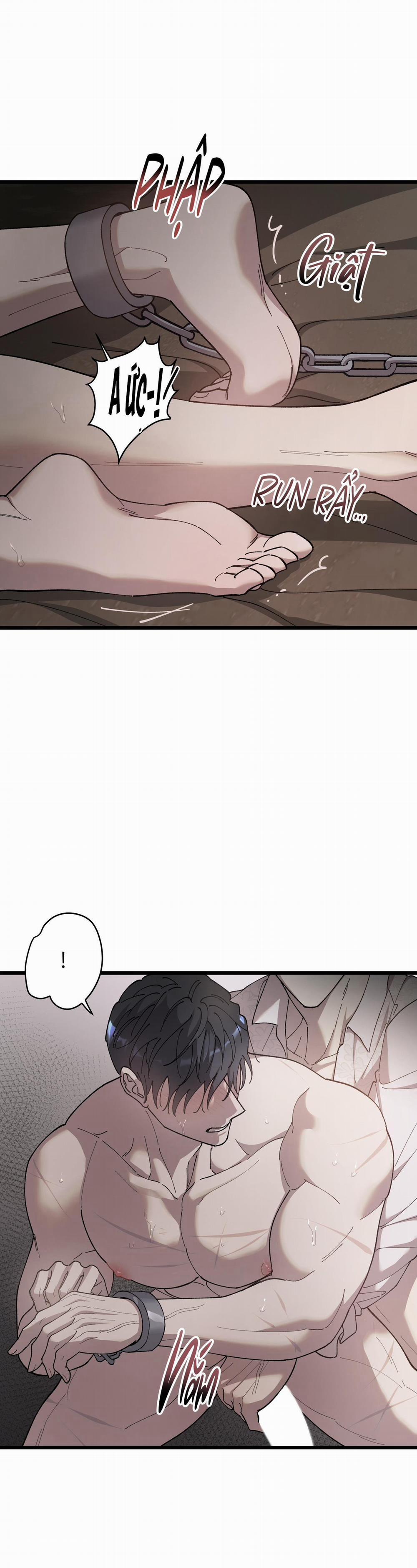 Đóa Hoa Của Mặt Trời 70 trang 20