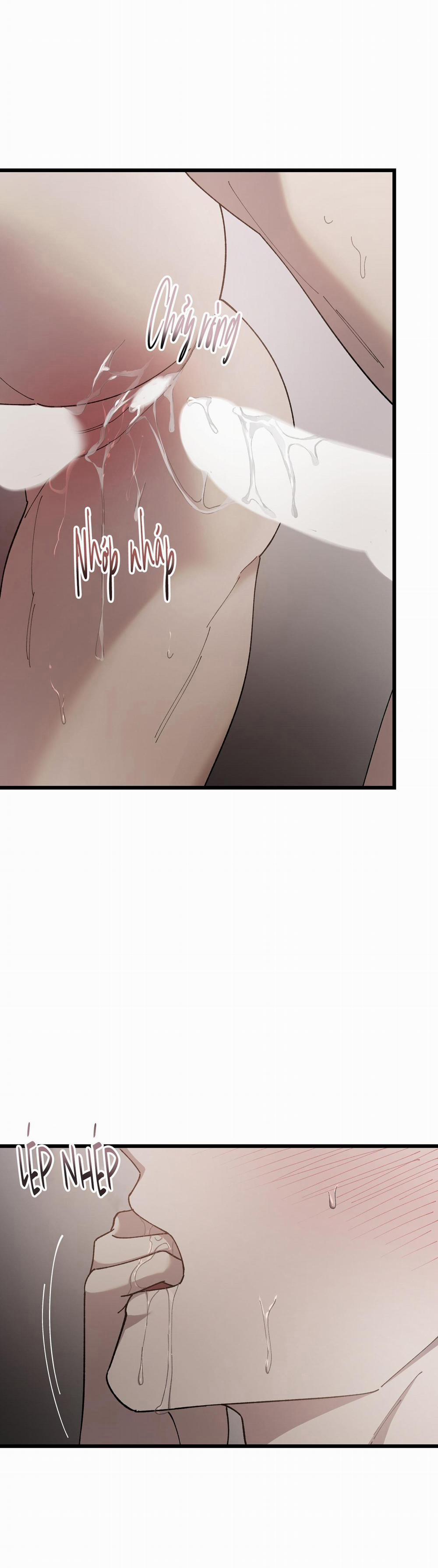 Đóa Hoa Của Mặt Trời 70 trang 23