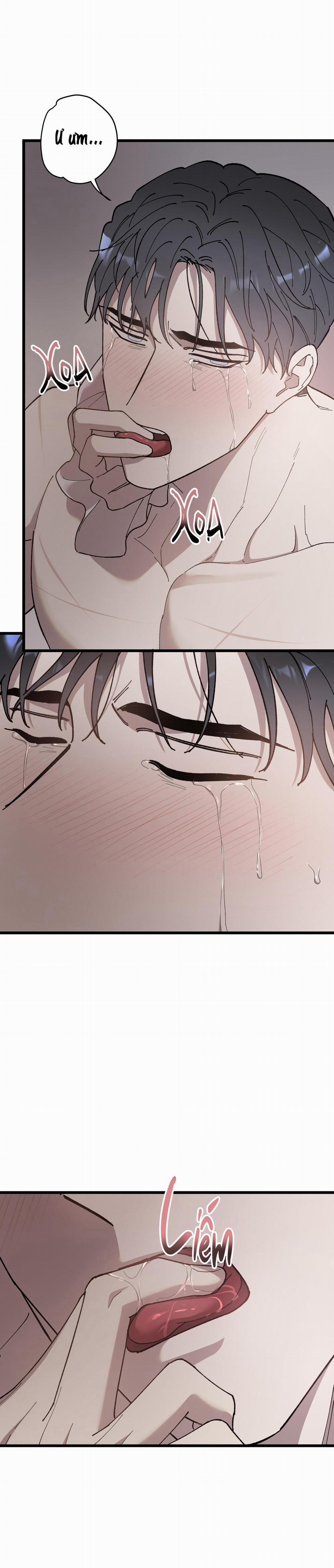 Đóa Hoa Của Mặt Trời 70 trang 24