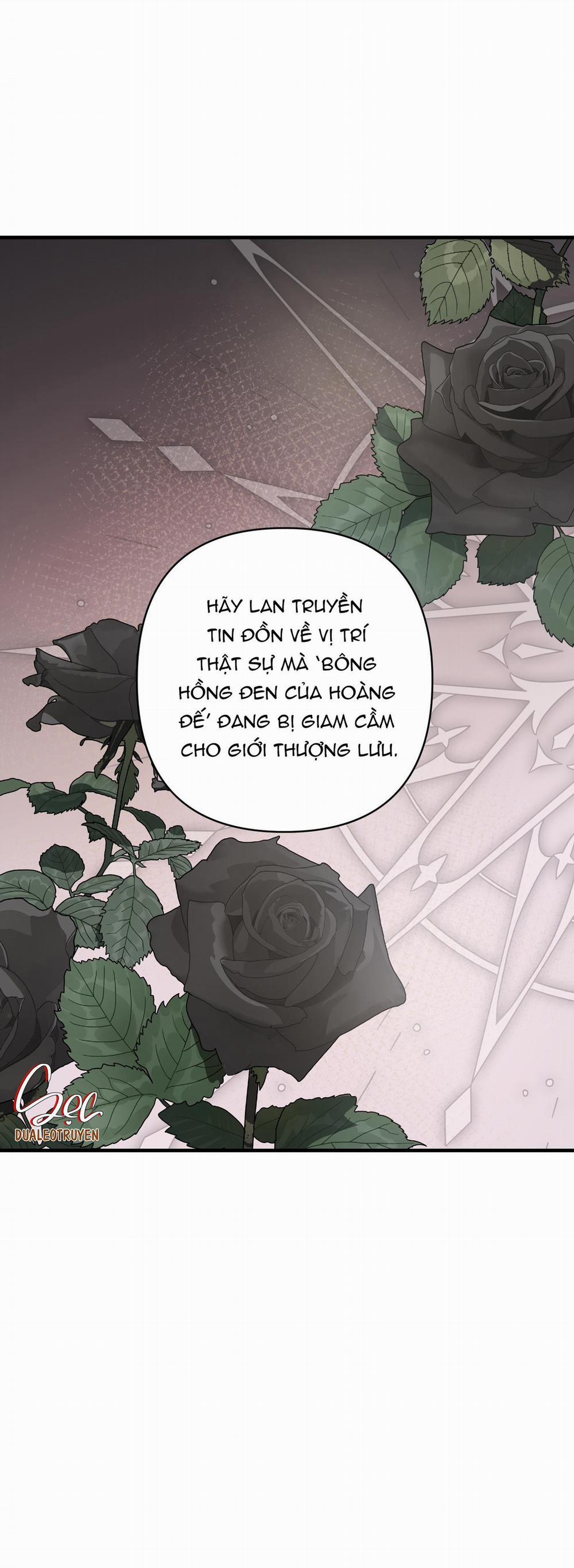 Đóa Hoa Của Mặt Trời 73 trang 19