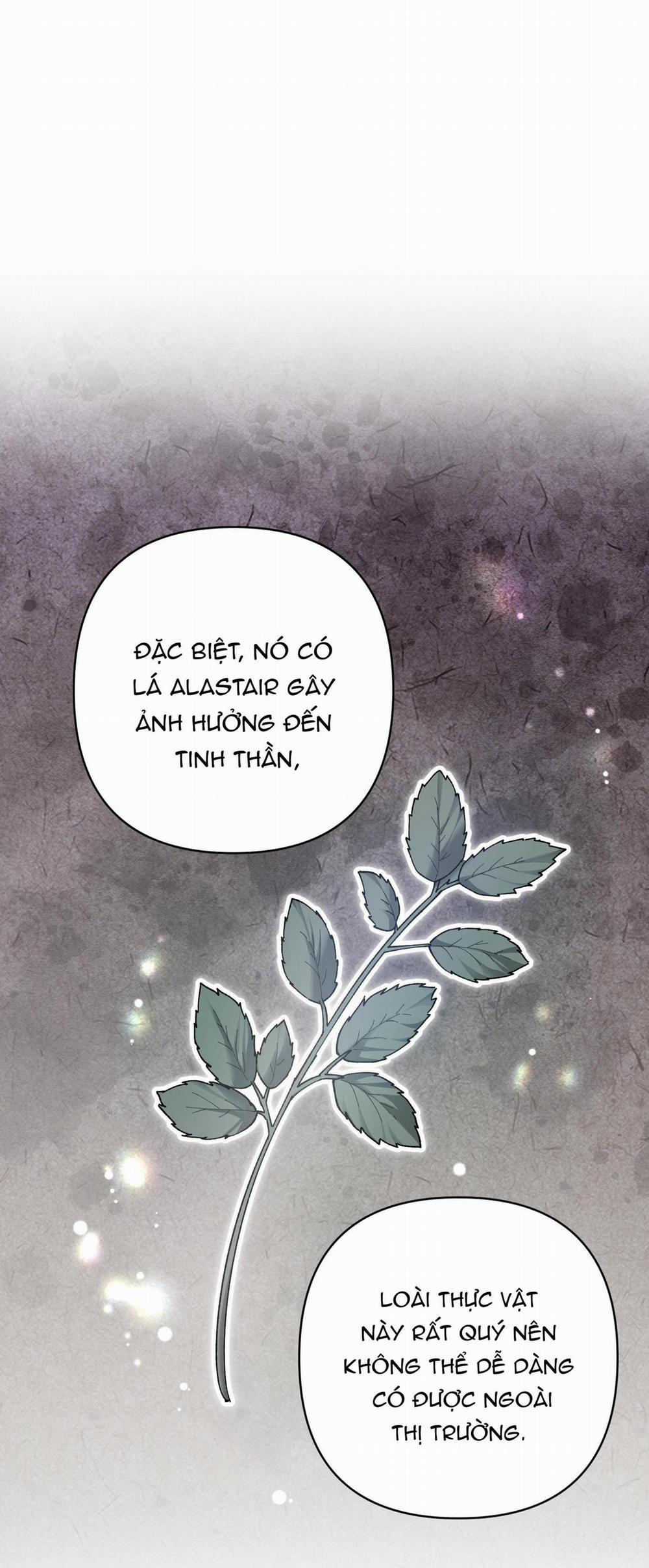 Đóa Hoa Của Mặt Trời 74 trang 13