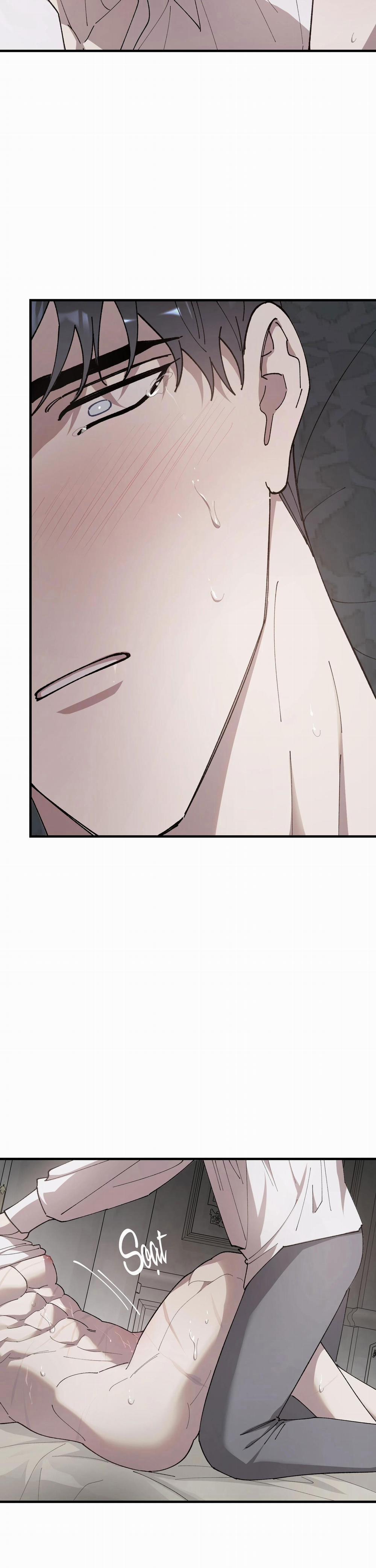 Đóa Hoa Của Mặt Trời 77 trang 14