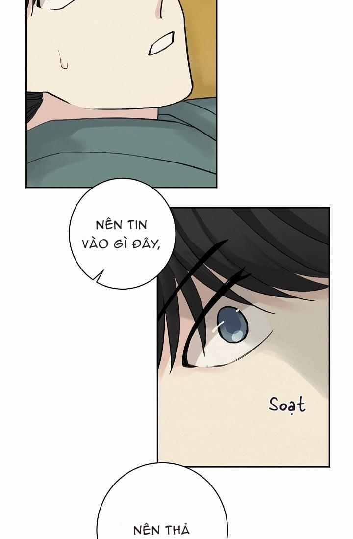 Đóa Hoa Dưới Ngọn Đèn 3 trang 2