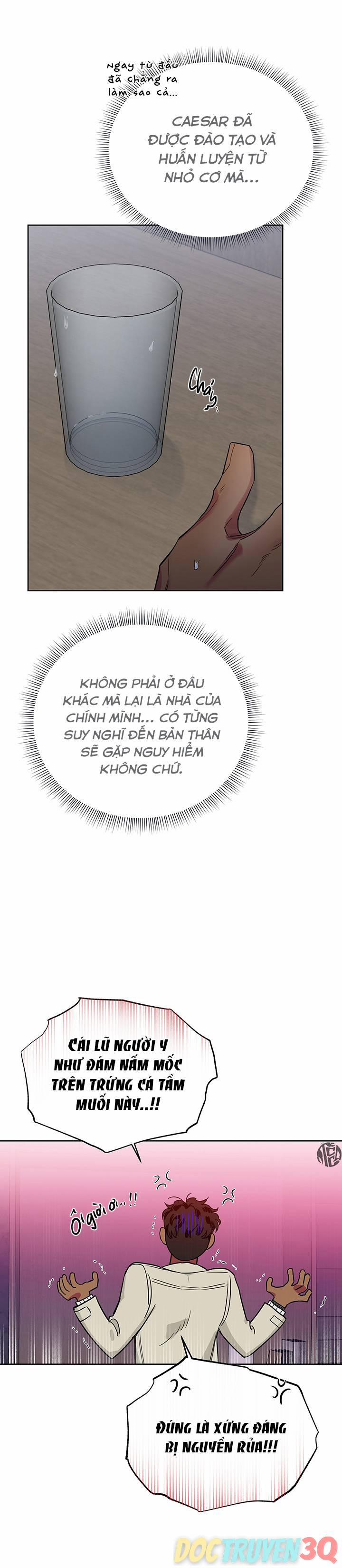 Đoá Hồng Và Ly Champagne 0 Ngoại truyện 12 trang 5