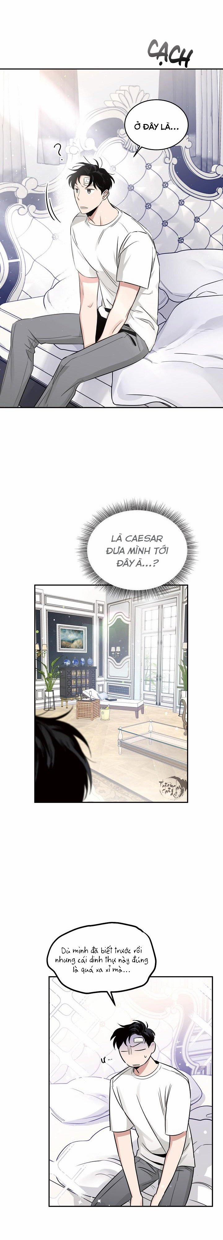 Đoá Hồng Và Ly Champagne 17 trang 10