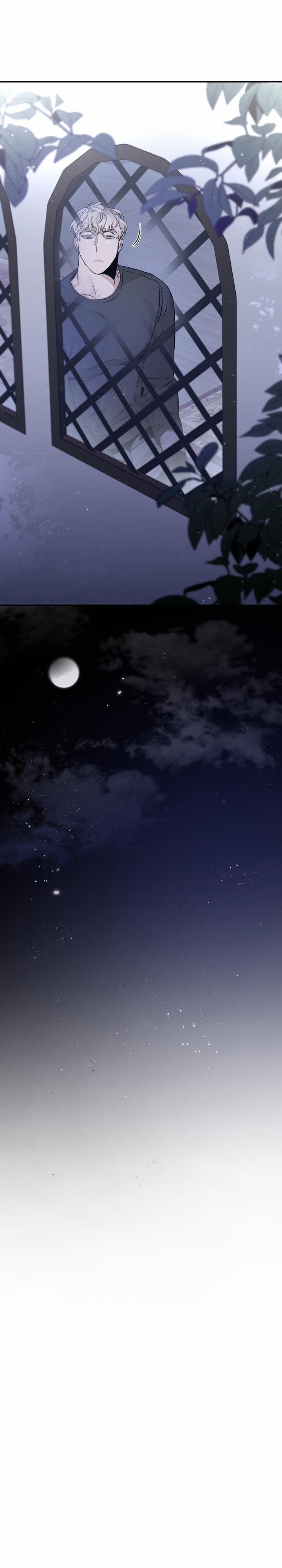 Đoá Hồng Và Ly Champagne 22 trang 17