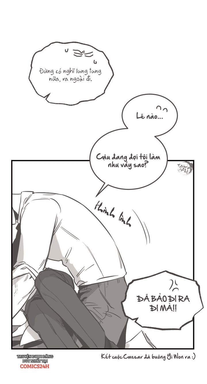 Đoá Hồng Và Ly Champagne 24.5 (Ngoại Truyện) trang 15