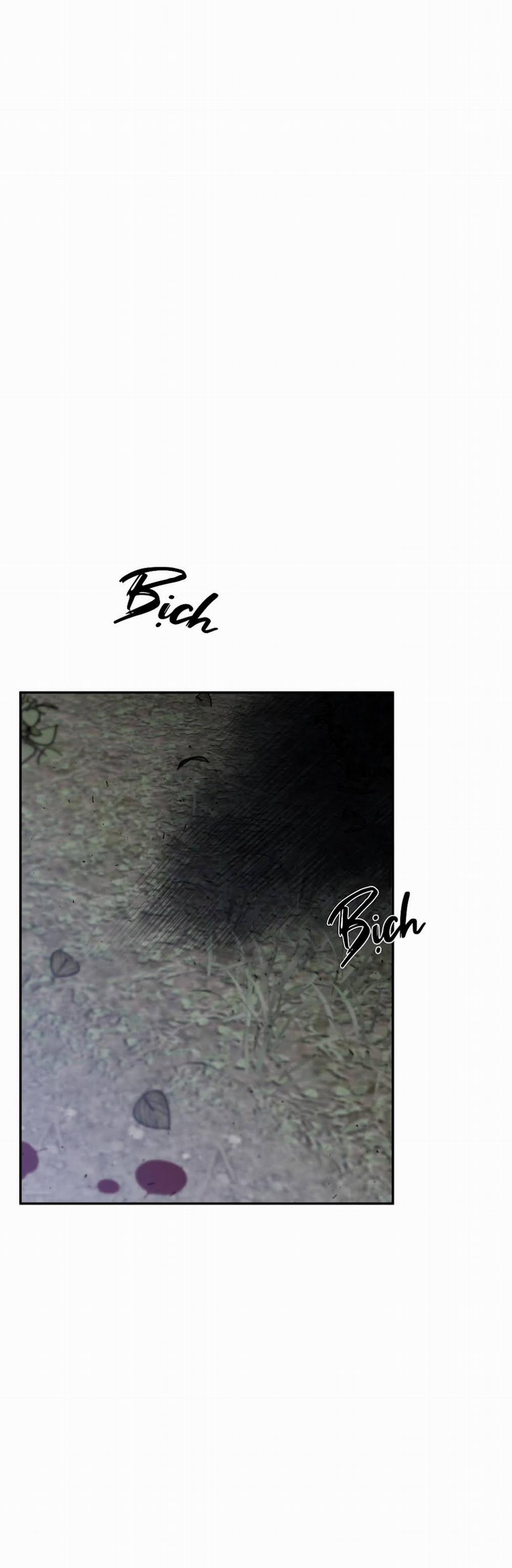 Đoá Hồng Và Ly Champagne 24 trang 17