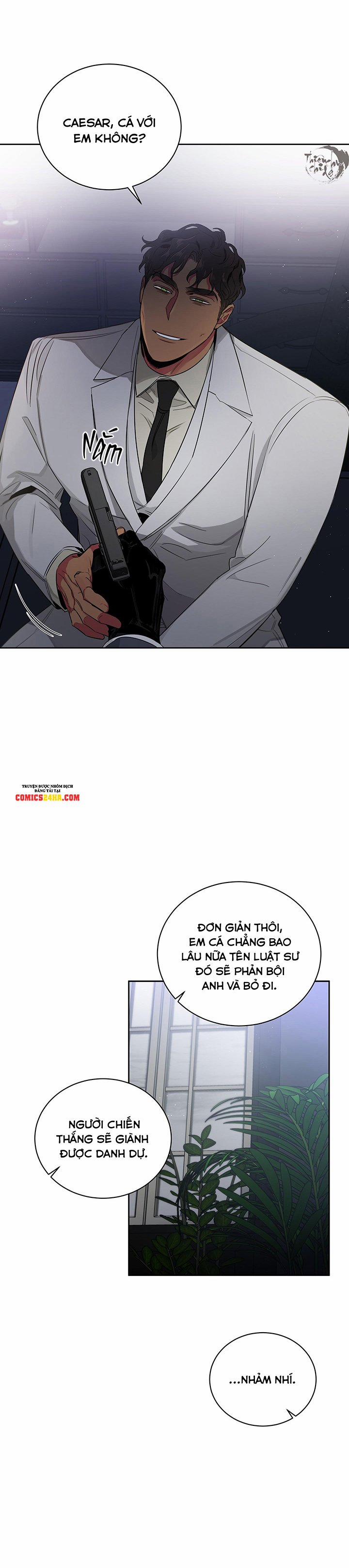 Đoá Hồng Và Ly Champagne 38 trang 11